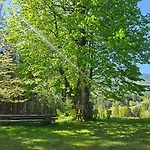 Feriehus Pocitniska Hisa Alica Crna na Koroskem