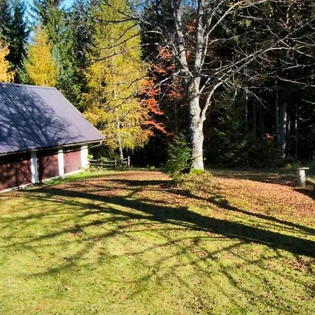 Holiday home Pocitniska Hisa Alica Crna na Koroskem