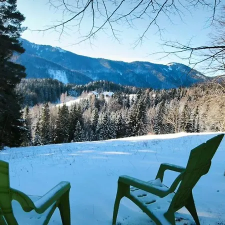 Hébergement de vacances Pocitniska Hisa Alica Crna na Koroskem