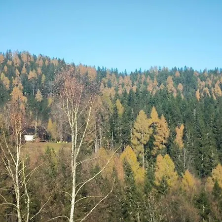 Pocitniska Hisa Alica Feriehus Crna na Koroskem
