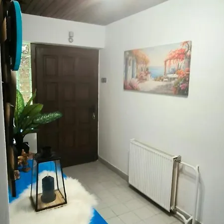 Pocitniska Hisa Alica Crna na Koroskem