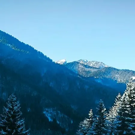 Pocitniska Hisa Alica