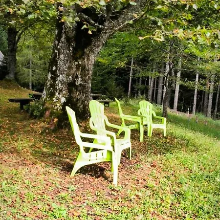 Pocitniska Hisa Alica Crna na Koroskem