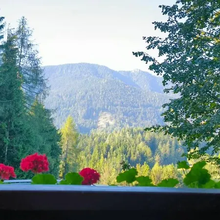 Hébergement de vacances Pocitniska Hisa Alica Crna na Koroskem