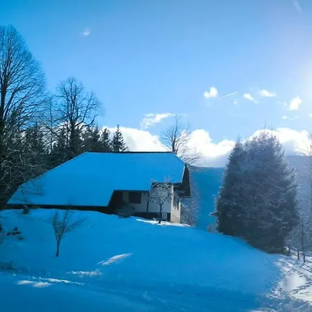 Pocitniska Hisa Alica *