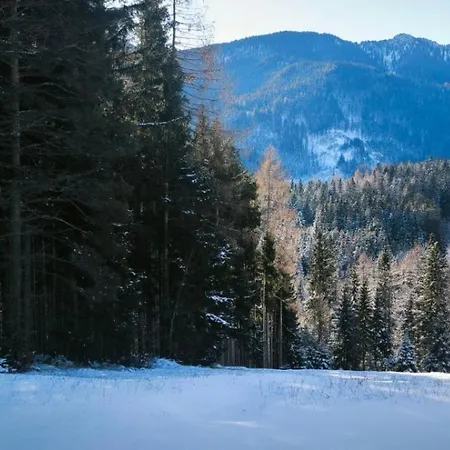 Pocitniska Hisa Alica * Crna na Koroskem