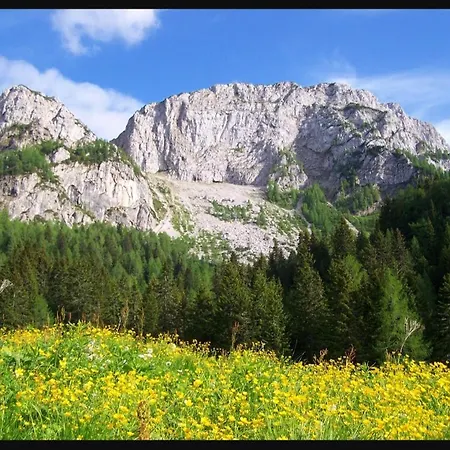 Pocitniska Hisa Alica Hébergement de vacances *