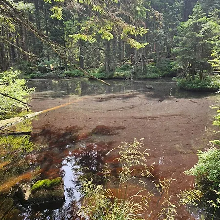 Pocitniska Hisa Alica * Črna na Koroškem