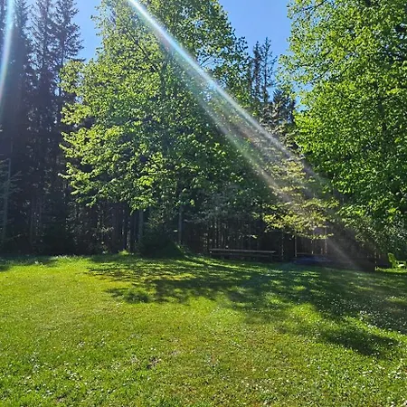 Pocitniska Hisa Alica Crna na Koroskem