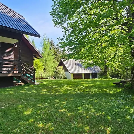 Pocitniska Hisa Alica * Črna na Koroškem