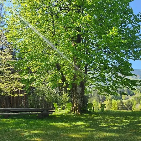 펜션 Pocitniska Hisa Alica Črna na Koroškem