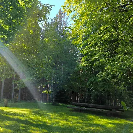 Pocitniska Hisa Alica Holiday home Crna na Koroskem