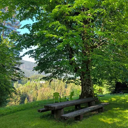 Holiday home Pocitniska Hisa Alica Crna na Koroskem