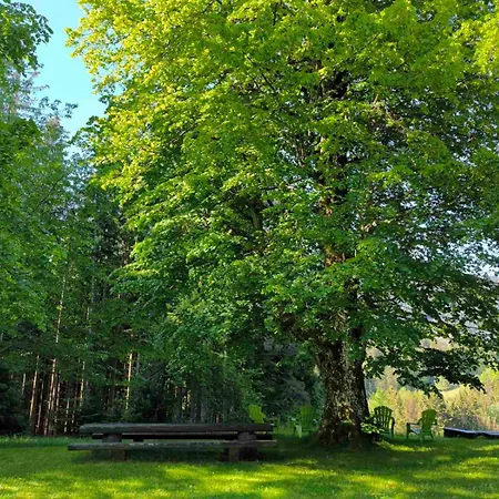 Pocitniska Hisa Alica