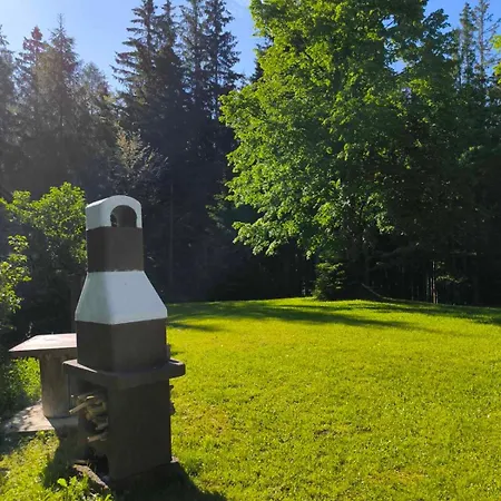 Pocitniska Hisa Alica Holiday home *