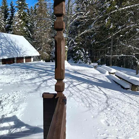 Holiday home Pocitniska Hisa Alica Crna na Koroskem