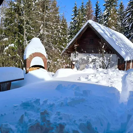 Pocitniska Hisa Alica