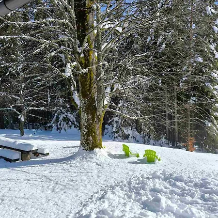 Pocitniska Hisa Alica Holiday home *