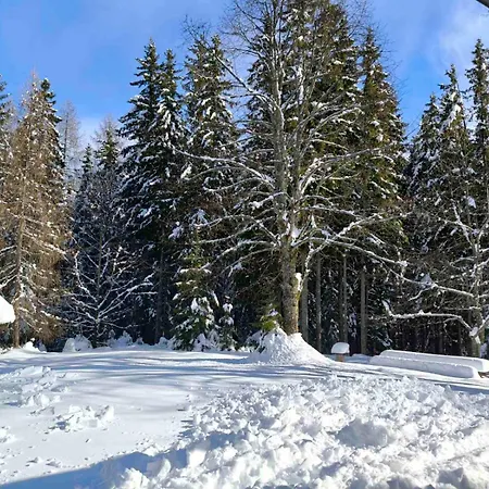 Pocitniska Hisa Alica
