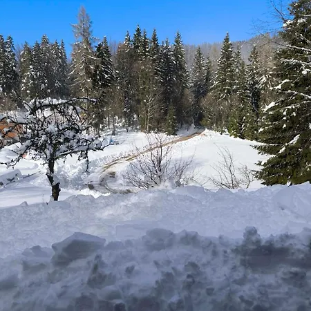 Pocitniska Hisa Alica Holiday home *