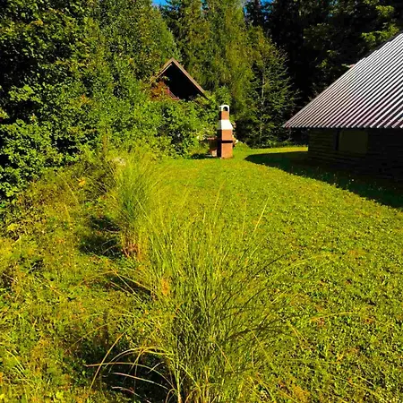 Pocitniska Hisa Alica Holiday home *