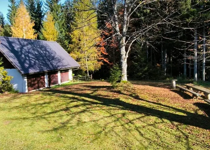 Vikendica Pocitniska Hisa Alica Crna na Koroskem