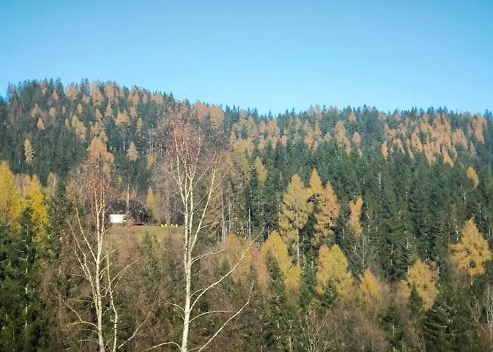 Pocitniska Hisa Alica 度假居 Crna na Koroskem