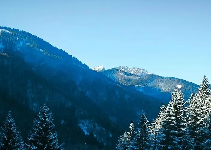 Pocitniska Hisa Alica