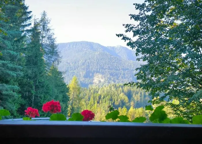 度假居 Pocitniska Hisa Alica Crna na Koroskem