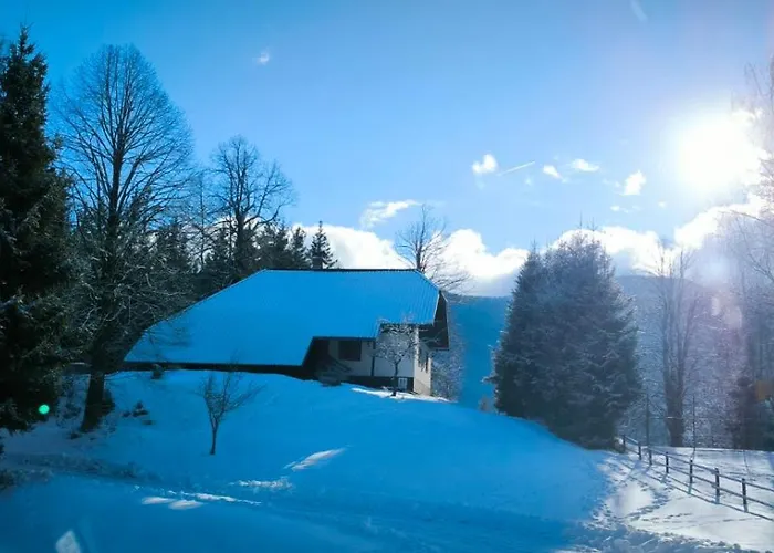 Pocitniska Hisa Alica *