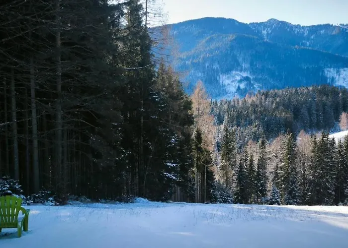 Pocitniska Hisa Alica * Crna na Koroskem