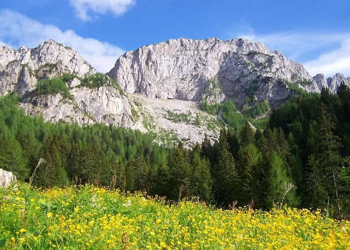 Pocitniska Hisa Alica Vikendica *