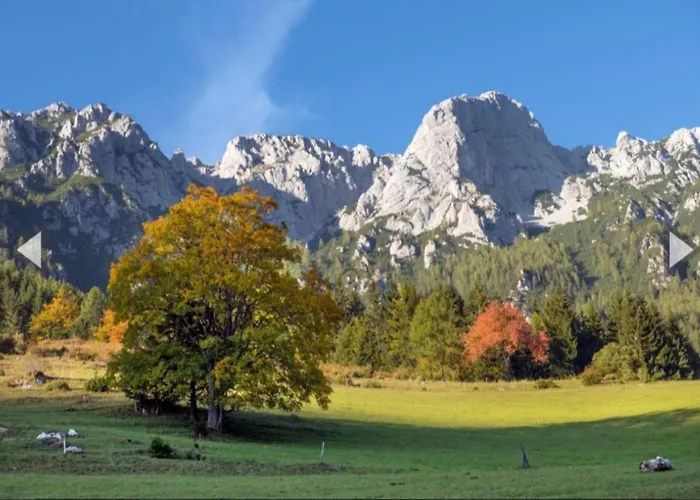 Vikendica Pocitniska Hisa Alica *