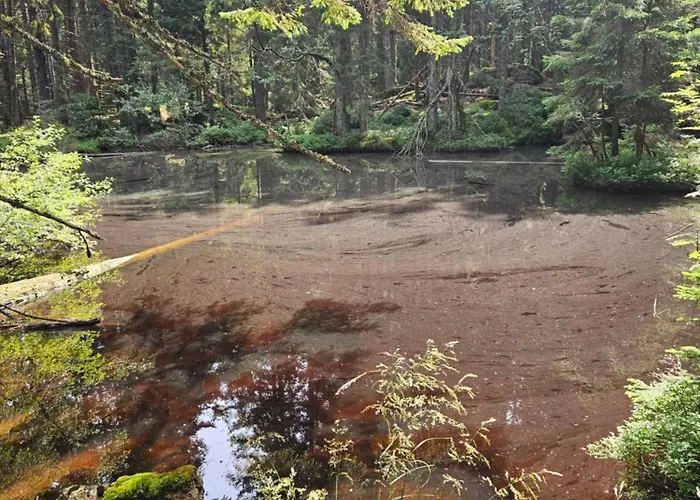 Pocitniska Hisa Alica * Crna na Koroskem